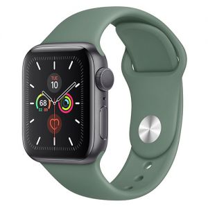 Apple Watch Series 5 Aluminum