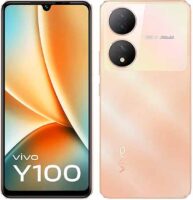 Vivo Y100